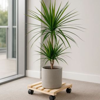 Benson Wooden Plant Trolley with 360 Degree Wheels 30 x 30 cm