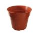 flower pot 10in