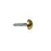 Brass Mirror Screw - 1"