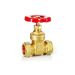 Valogin 3/4" Gate Valve