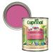 Cuprinol Garden Shades Sweet Sundae 1L