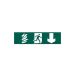 Green PVC Non-Scripted Fire Exit Sign - Direction Pointing Down - 200mmx50mm