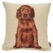 Baby Setter Cushion - 45cm x 45cm