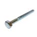 Stainless Steel Coach Screw - M10 x 100mm