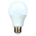 Evolec LED GLS Bulb E27 - 20W