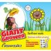 Sunflower Seeds - Giant Grower (Tall Single)