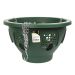 Green Blade Plastic Hanging Basket 12"
