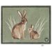 Hug Rug Rabbit Eco-Friendly Washable Indoor Doormat 65cm x 85cm – Recycled Non-Slip Mat for Dirt and Moisture Control