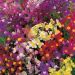 Suttons Seeds - Linaria - Fairy Bouquet