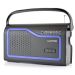 Lloytron 2 Band 'Ibiza' AC/DC Portable Radio - Black