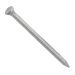 Masonry Nails 50mm - Pack of 12