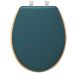 MDF Petrol Blue Toilet Seat