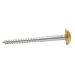 50mm x No 8 Electro Brassed Dome Mirror Screws - Each
