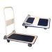 Platform Foldable Truck 150kg