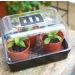 Unheated Propagator - 52 cm