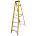 Protool 8 Step Fibreglass Ladder