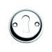 Satin Chrome Tudor Open Escutcheon