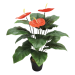 Nearly Natural Artificial Anthurium 63cm