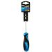 100mm x PZ1 POZI Screwdriver