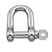 Straight D Shackle with eye bolt