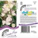 Sweet Pea Seeds - High Scent
