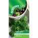 Cress American Land Seeds – Fast Growing Flavourful Salad Leaf for Sandwiches and Garnishes