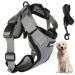 Pressure-Free Dog Harness with Handle and Leash - Xlarge