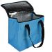 Benson Insulated Cooler Bag for Travel Picnics and Outdoor Use 12L