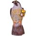 Falcon Bird Deterrent – Life-Like Bird of Prey with Anchor Base, 14 Inch