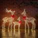 OpaLight Deer Family LV – 750 Warm White LED Stag, Doe and Fawn Christmas Decorations for Indoor and Outdoor Displays