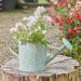 Watering Can Planter - Sage