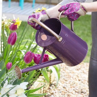 Durable Galvanised Steel Violet Watering Can 4.5L