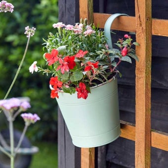 Fence & Balcony Hanging Pot 6 - Sage