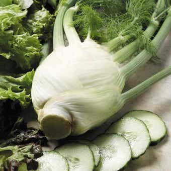 Suttons Sirio Florence Fennel Seeds - Pack Of 500