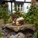 Frog Planter – Charming Garden & Home Decoration for Your Plants
