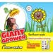 Sunflower Seeds - Giant Grower (Tall Single)