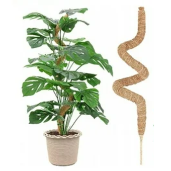 Green Blade 25 Inch Bendable Moss Poles for Climbing Plants Indoor and Outdoor Support - Pack of 2