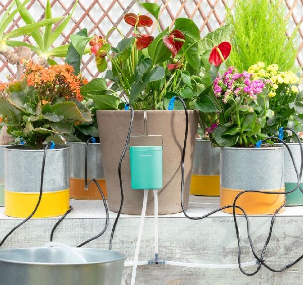 Automatic Drip Watering System for Plant Pots Rego