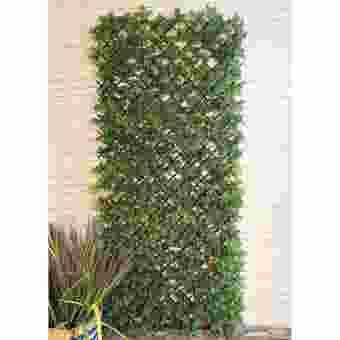 Nearly Natural Laurel Leaf Medium Trellis - 180cm x 60cm