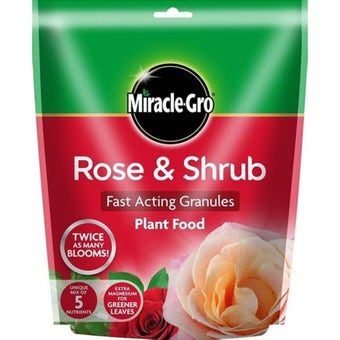 Miracle-Gro Rose & Shrub Fast Acting Granules Plant Food Pouch 750g I Feeds Up to 40 Bushes, Ideal for Established Plants