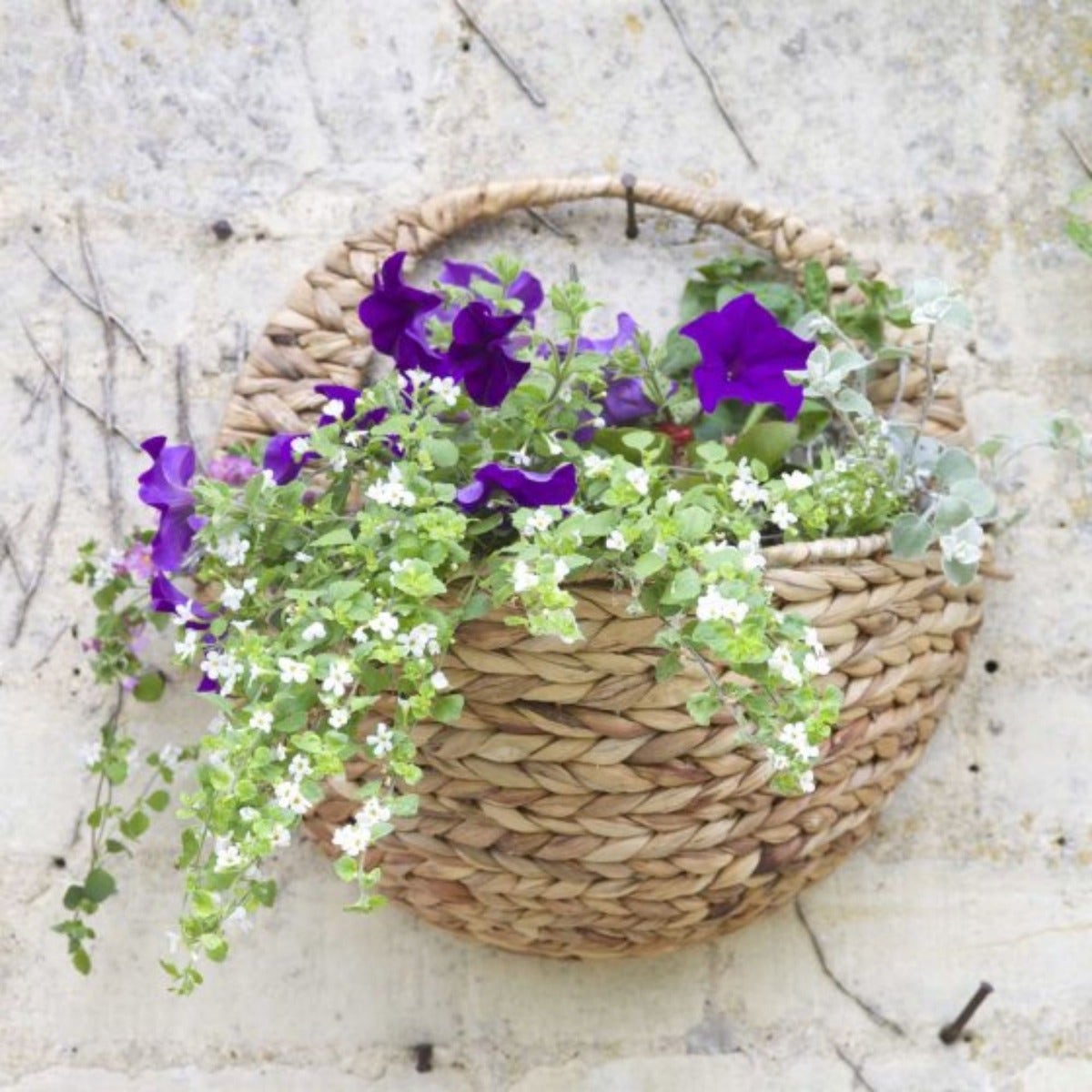 Natural Pre-Lined Fibre Hyacinth Wall Basket 