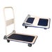 Platform Foldable Truck 150kg