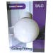 Powermaster 60W BALO Globe Ceiling Fitting