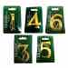 Classic Polished Brass Numbers