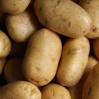 Potato British Queen 2kg