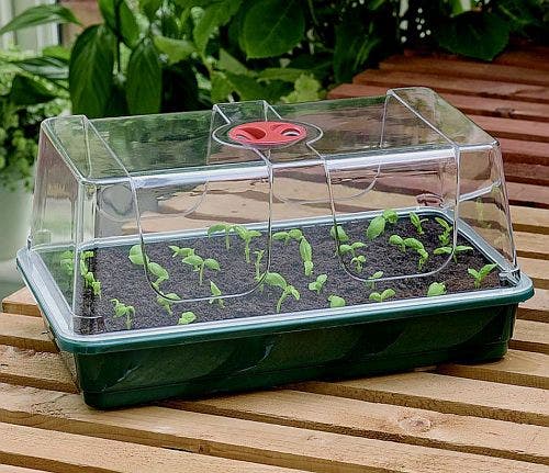 Garland High Dome Propagator Large