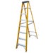 Protool 8 Step Fibreglass Ladder