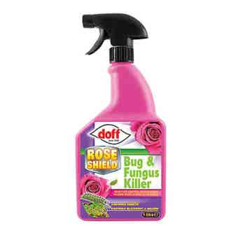Doff Rose Shield Bug & Fungus Killer - 1L