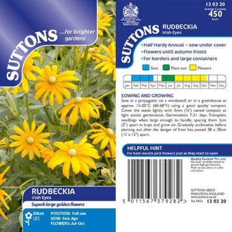 Rudbeckia Irish Eyes