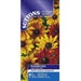 Rudbeckia Seeds - Rustic Dwarf Mix